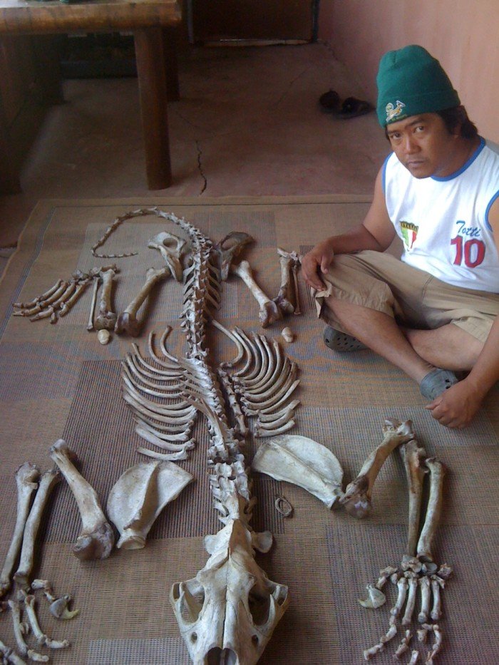 An alleged member of the Xaysavang syndicate poses with a set of lion bones, supplied by Julian Rademeyer