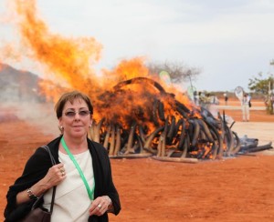 EIA Executive Director Mary Rice at Kenya ivory burning, 2011 (c) EIA