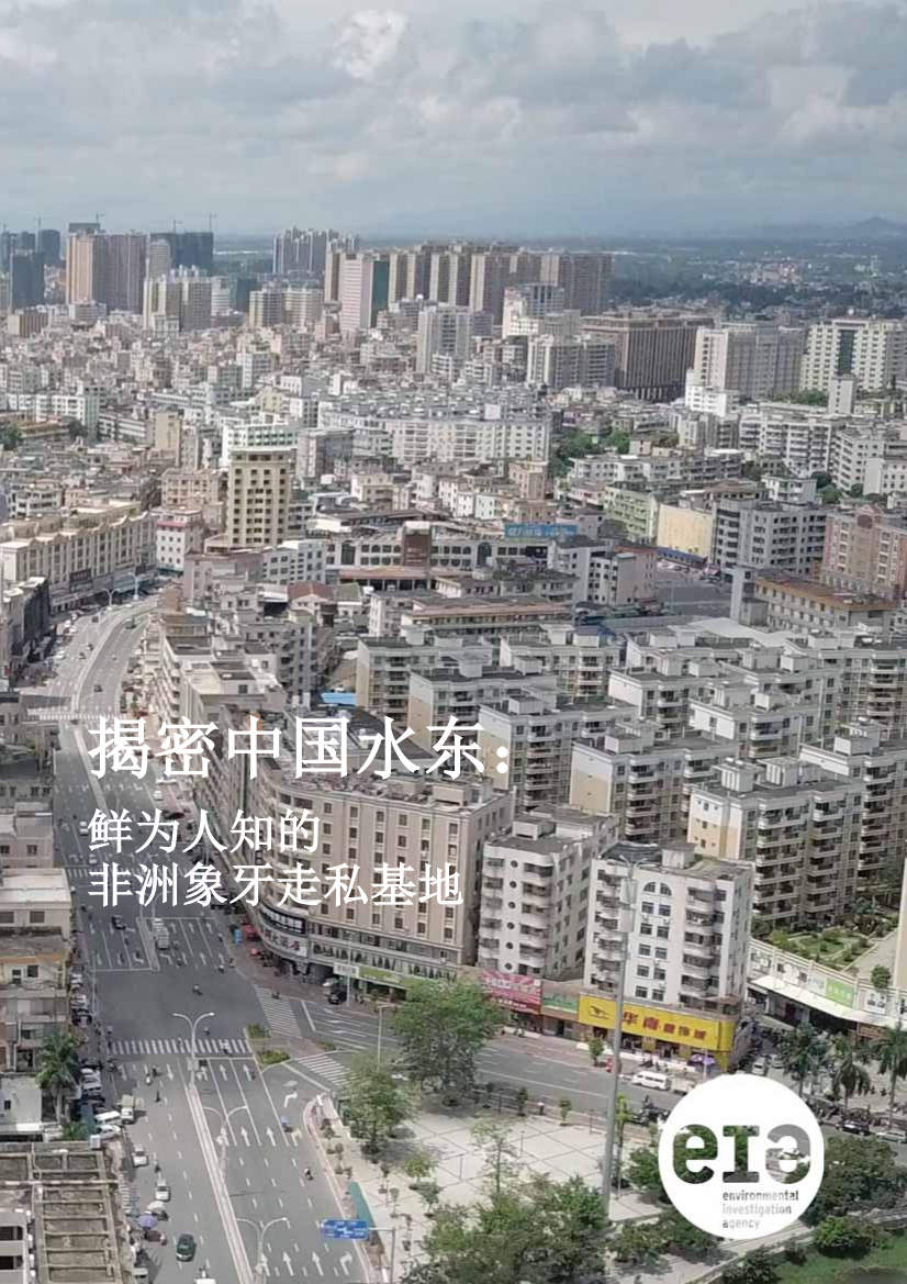 Chinese language cover for the Shuidong Connection report