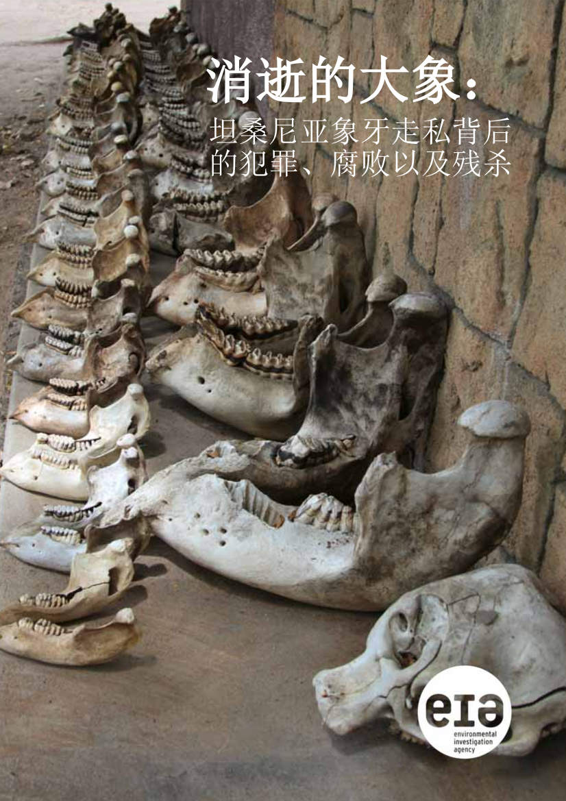 Chinese language cover for the Vanishing Point report
