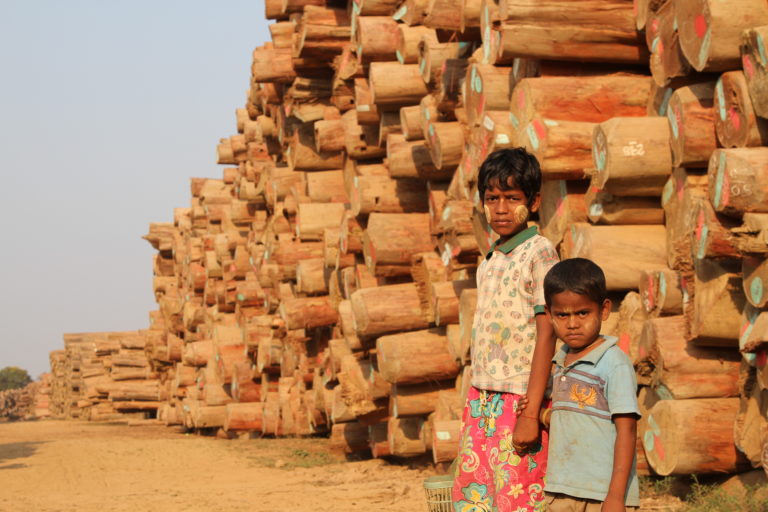 Dutch traders first exposed by EIA are facing legal action for importing illicit teak from Myanmar