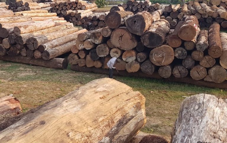 Convicted German timber trader investigated by EIA is raided for dealing in illegal Myanmar teak