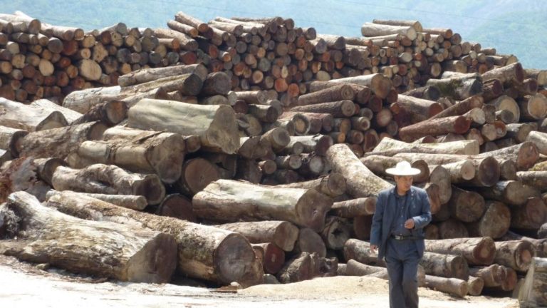 The only win/win for Myanmar and China is to end timber theft