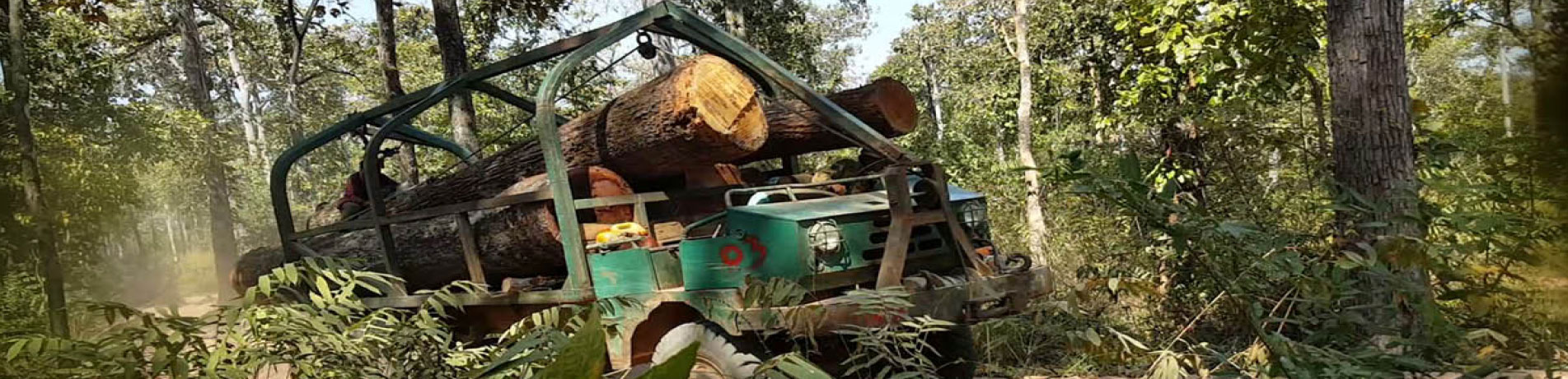 Truck carrying illegal timber, Cambodia