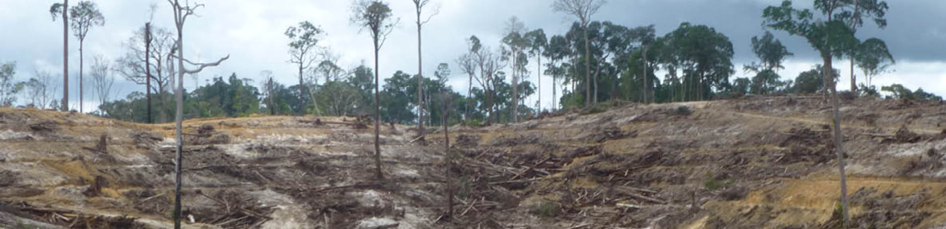 Deforested hillside in Indonesia