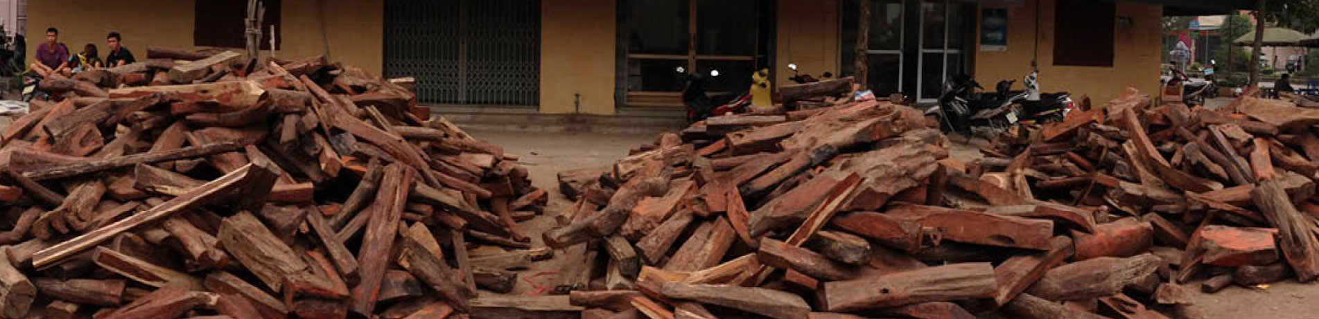 Stockpile of rosewood, Vietnam