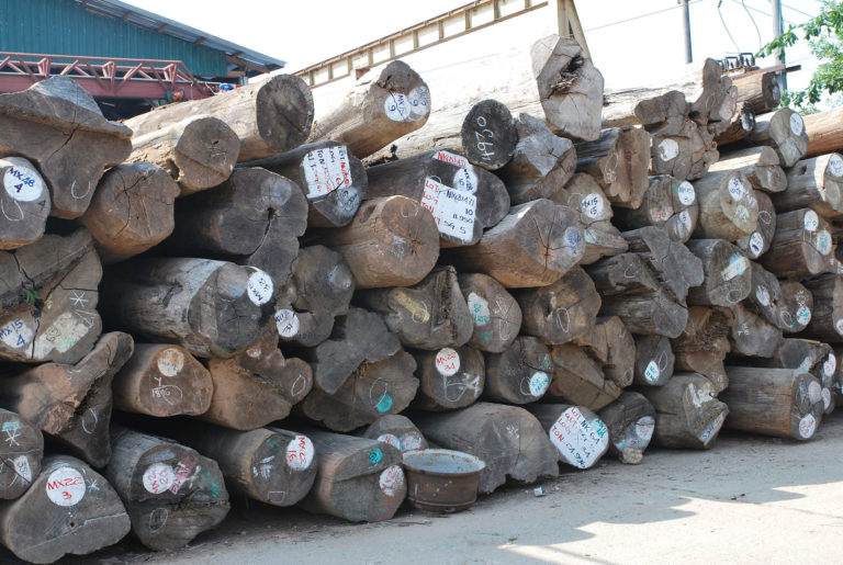  	 EIA victory in Netherlands’ highest court confirms EU rules for Myanmar timber imports