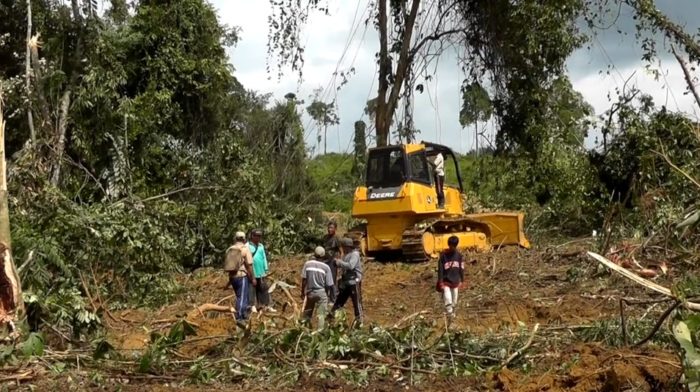 Palm oil firm bulldozer in Muara Tae, Indonesia, October 2012 (c) EIAimage