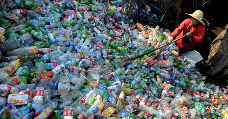 Podcast - Plastic waste: ‘A terrible and insidious threat to human and environmental health’