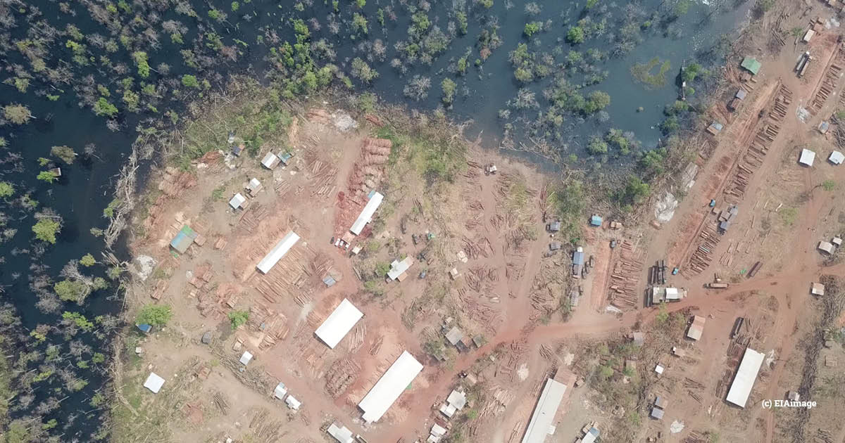 illegal logging sawmill, sesan 2, cambodia