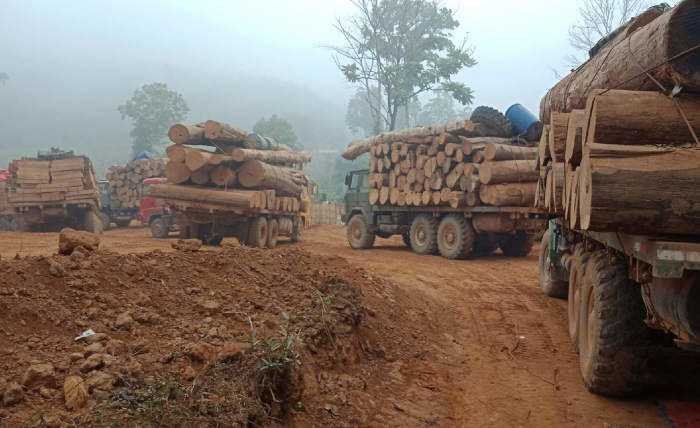 Trucks carrying timber, Myanmar