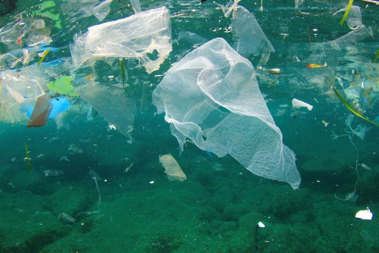 Plastic pollution’s deadly ticking clock – a dire emergency for people and the planet