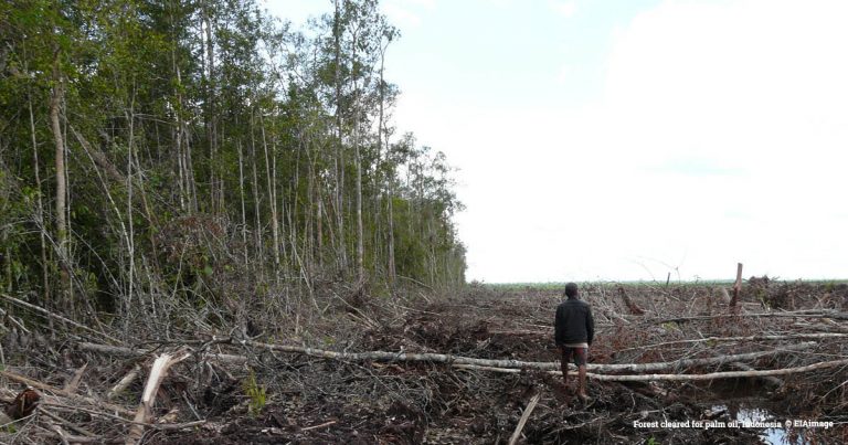 Indonesia must act to protect forests and root out corruption and illegality from its palm oil